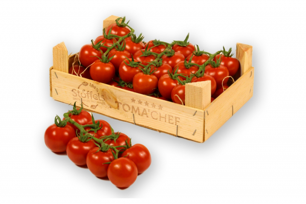 Verpakking van 100% Belgische tomaten geteeld door Stoffels in Rijkevorsel