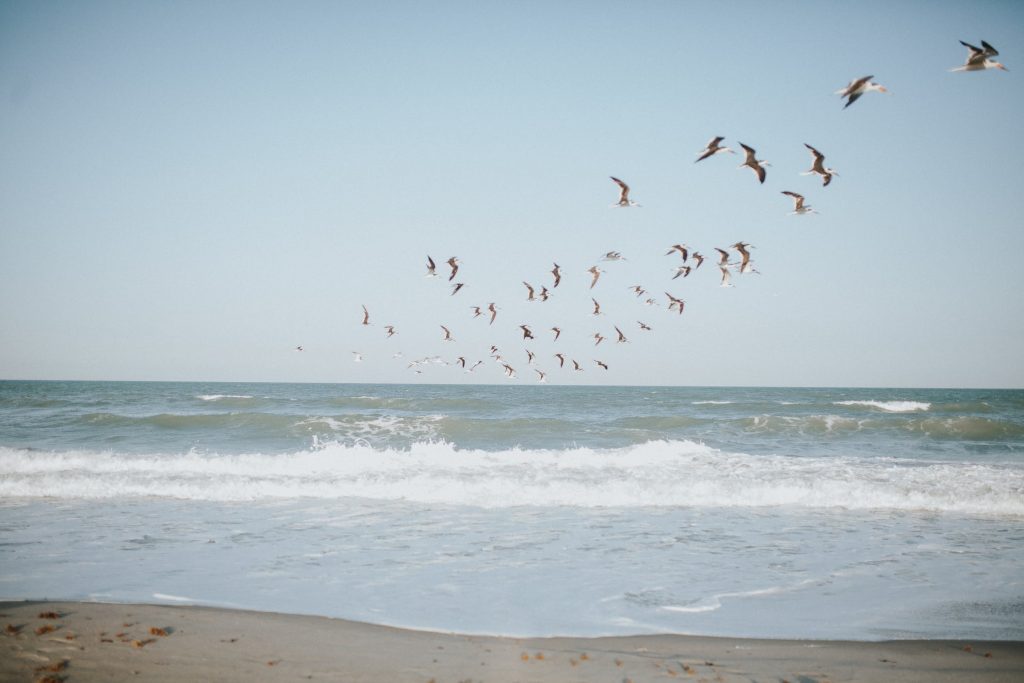 Gezellig strandhuisje huren direct aan het Nederlandse strand voor vakantie of weekend